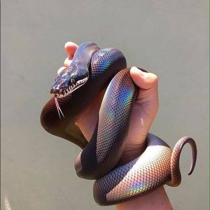 Meet your Posher, Aslam